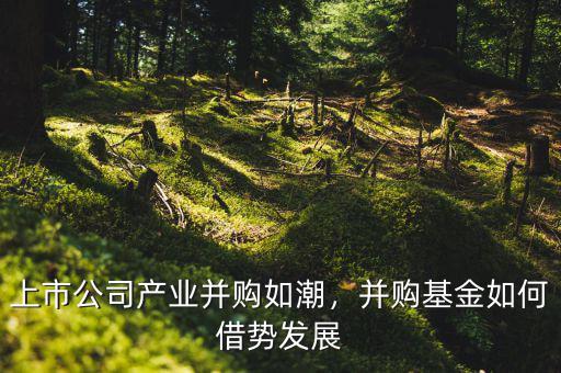 上市公司產(chǎn)業(yè)并購如潮，并購基金如何借勢(shì)發(fā)展