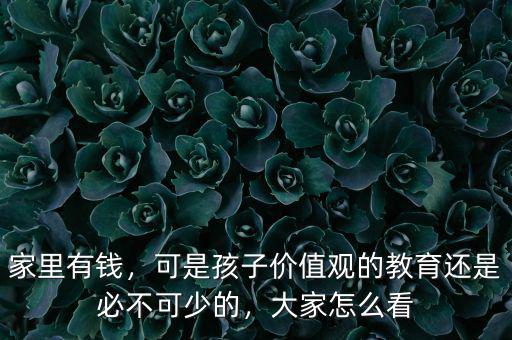 家里有錢，可是孩子價(jià)值觀的教育還是必不可少的，大家怎么看