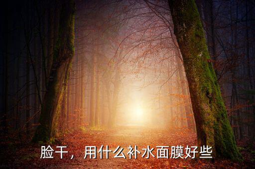 臉干，用什么補水面膜好些
