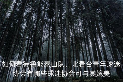 如何看待魯能泰山隊(duì)，北看臺(tái)青年球迷協(xié)會(huì)有哪些球迷協(xié)會(huì)可與其媲美
