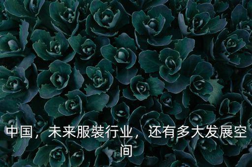 中國，未來服裝行業(yè)，還有多大發(fā)展空間