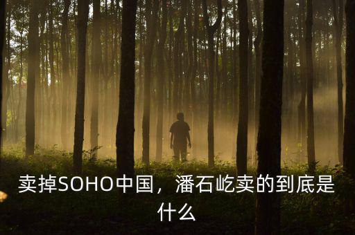 賣掉SOHO中國，潘石屹賣的到底是什么