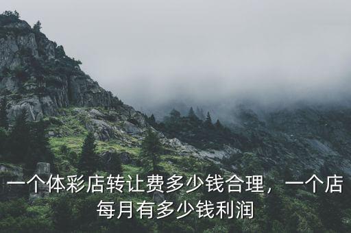 一個(gè)體彩店轉(zhuǎn)讓費(fèi)多少錢(qián)合理，一個(gè)店每月有多少錢(qián)利潤(rùn)