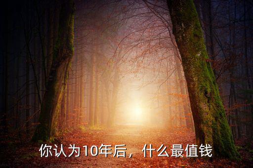 你認(rèn)為10年后，什么最值錢