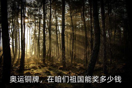 奧運(yùn)銅牌，在咱們祖國能獎(jiǎng)多少錢