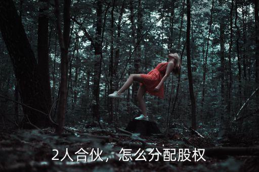 2人合伙，怎么分配股權