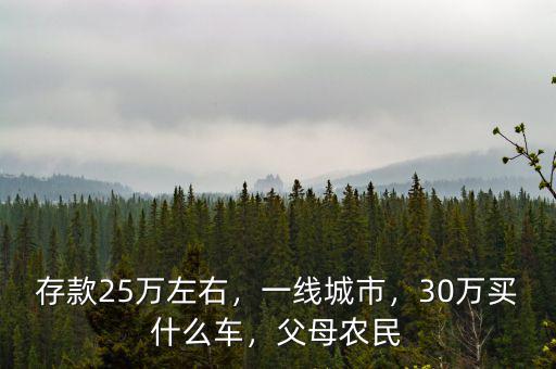 存款25萬左右，一線城市，30萬買什么車，父母農(nóng)民