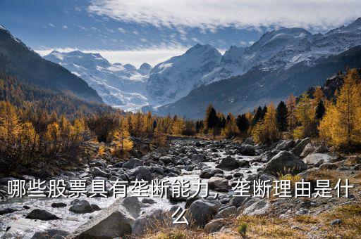 哪些股票具有壟斷能力，壟斷理由是什么