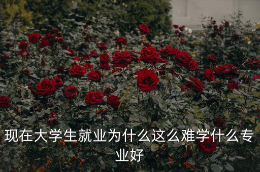 現(xiàn)在大學生就業(yè)為什么這么難學什么專業(yè)好