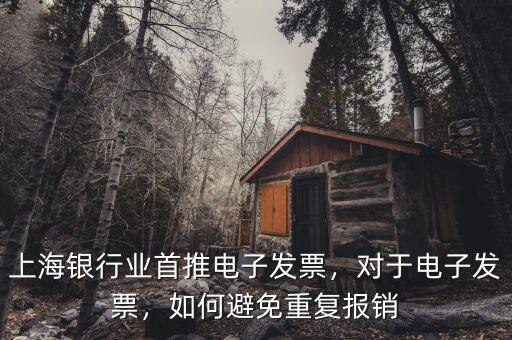 上海銀行業(yè)首推電子發(fā)票，對(duì)于電子發(fā)票，如何避免重復(fù)報(bào)銷