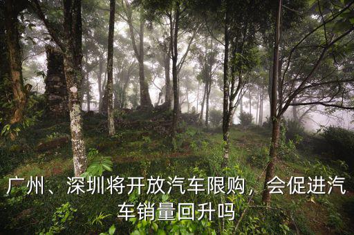廣州、深圳將開(kāi)放汽車(chē)限購(gòu)，會(huì)促進(jìn)汽車(chē)銷(xiāo)量回升嗎