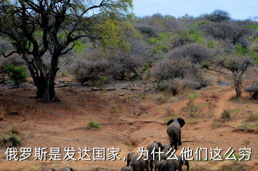 俄羅斯是發(fā)達(dá)國家，為什么他們這么窮