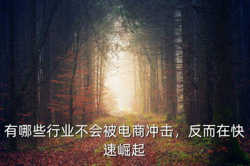 有哪些行業(yè)不會被電商沖擊，反而在快速崛起