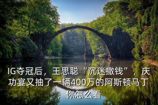 IG奪冠后，王思聰“沉迷撒錢”，慶功宴又抽了一輛400萬的阿斯頓馬丁，你怎么看