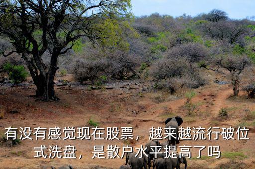 有沒有感覺現(xiàn)在股票，越來越流行破位式洗盤，是散戶水平提高了嗎