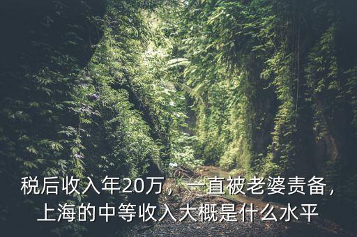 稅后收入年20萬，一直被老婆責備，上海的中等收入大概是什么水平
