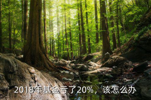2018年基金虧了20%，該怎么辦