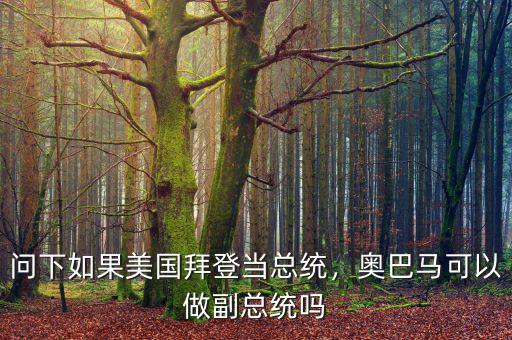 問下如果美國拜登當(dāng)總統(tǒng)，奧巴馬可以做副總統(tǒng)嗎