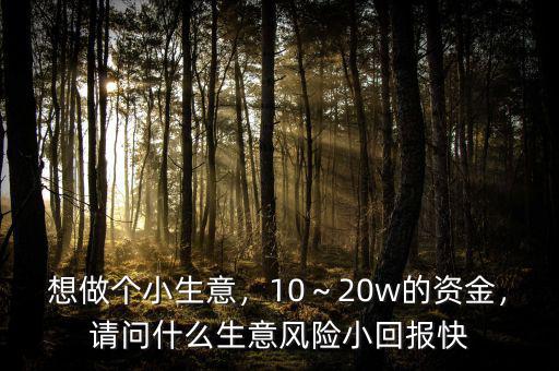想做個小生意，10～20w的資金，請問什么生意風險小回報快