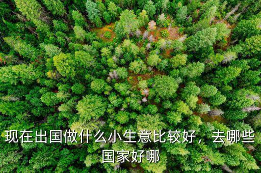 現(xiàn)在出國做什么小生意比較好，去哪些國家好哪
