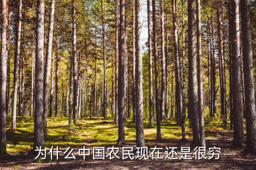 中國農民為什么,中國傳統(tǒng)農民為何謙卑