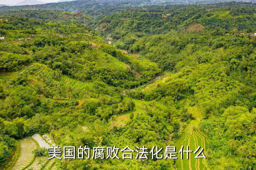 美國(guó)游說制度是什么,以色列和美國(guó)是什么關(guān)系