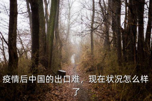 疫情后中國的出口難，現(xiàn)在狀況怎么樣了