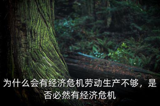 為什么會有經(jīng)濟(jì)危機(jī)勞動生產(chǎn)不夠，是否必然有經(jīng)濟(jì)危機(jī)