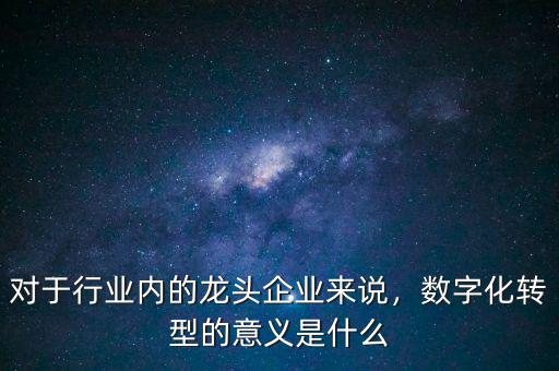 對(duì)于行業(yè)內(nèi)的龍頭企業(yè)來(lái)說(shuō)，數(shù)字化轉(zhuǎn)型的意義是什么