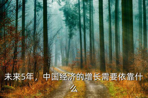 未來5年，中國經(jīng)濟(jì)的增長需要依靠什么