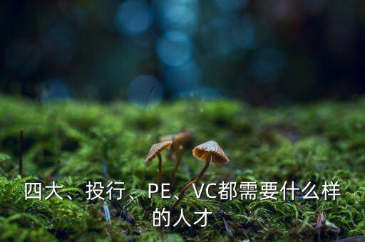 四大、投行、PE、VC都需要什么樣的人才