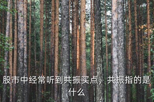 股市中經(jīng)常聽到共振買點，共振指的是什么