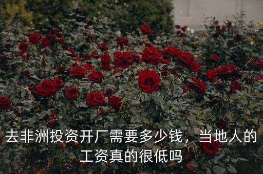 去非洲投資開(kāi)廠需要多少錢，當(dāng)?shù)厝说墓べY真的很低嗎