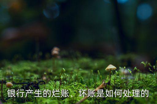 銀行產(chǎn)生的爛賬、壞賬是如何處理的
