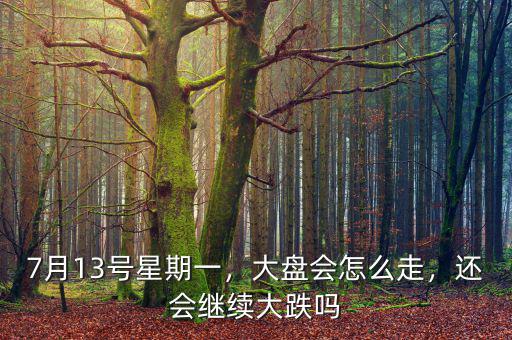 長(zhǎng)城汽車(chē)股票怎么13號(hào)跌那么多,7月13號(hào)星期一