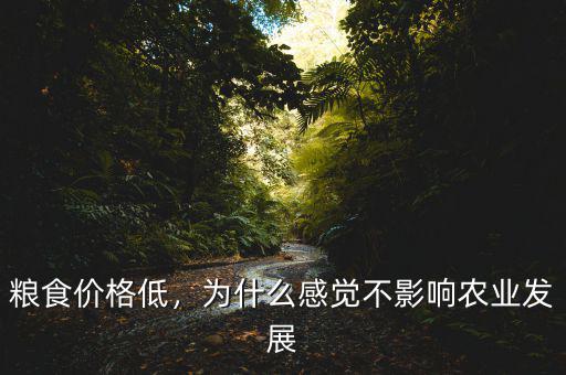 糧食價(jià)格低，為什么感覺不影響農(nóng)業(yè)發(fā)展