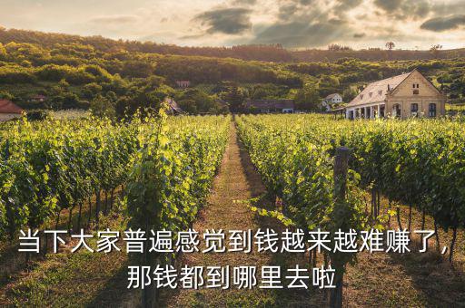 當下大家普遍感覺到錢越來越難賺了，那錢都到哪里去啦