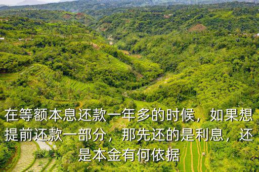 在等額本息還款一年多的時候，如果想提前還款一部分，那先還的是利息，還是本金有何依據(jù)