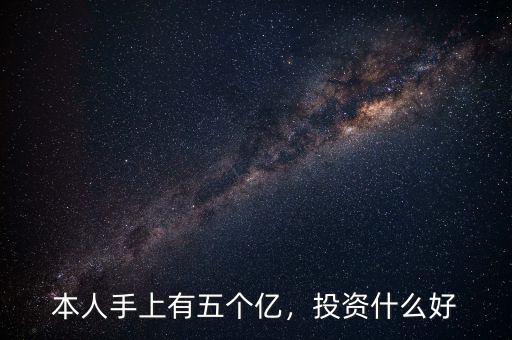 本人手上有五個(gè)億，投資什么好