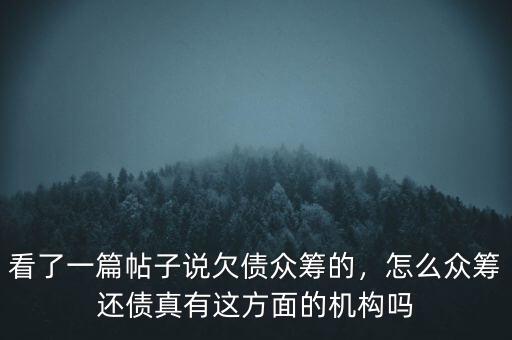 看了一篇帖子說欠債眾籌的，怎么眾籌還債真有這方面的機(jī)構(gòu)嗎