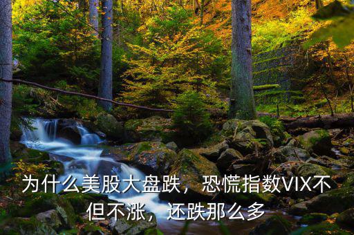 為什么美股大盤跌，恐慌指數(shù)VIX不但不漲，還跌那么多