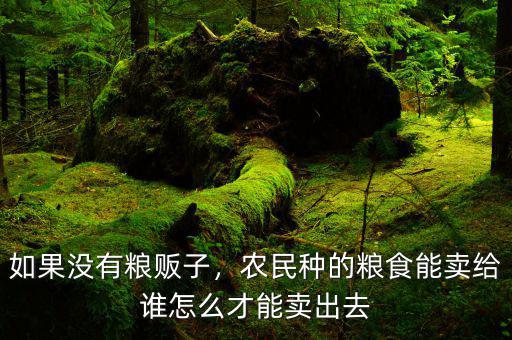 如果沒(méi)有糧販子，農(nóng)民種的糧食能賣給誰(shuí)怎么才能賣出去