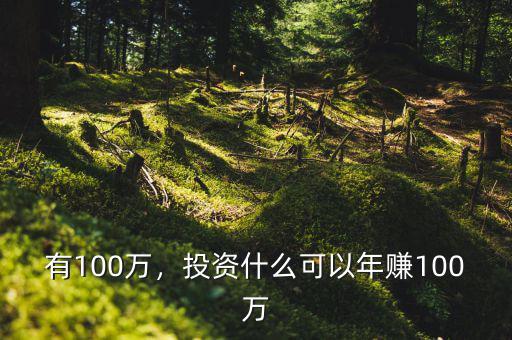 有100萬(wàn)，投資什么可以年賺100萬(wàn)