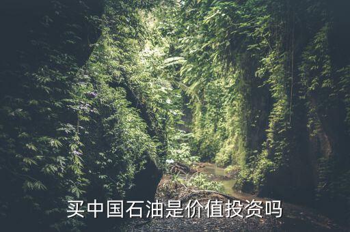 中國什么時(shí)候出手購買石油,40價(jià)位出手買入幾億桶石油