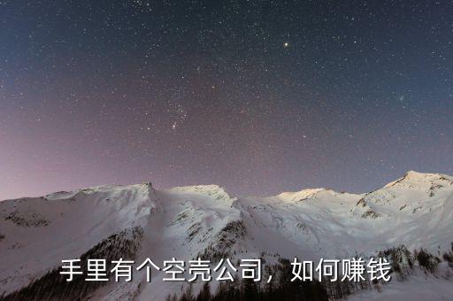 手里有個空殼公司，如何賺錢
