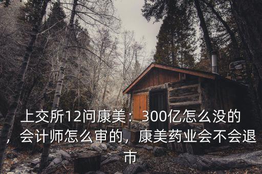 上交所12問康美：300億怎么沒的，會計(jì)師怎么審的，康美藥業(yè)會不會退市