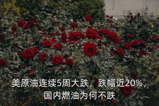 美原油連續(xù)5周大跌，跌幅近20%，國內(nèi)燃油為何不跌