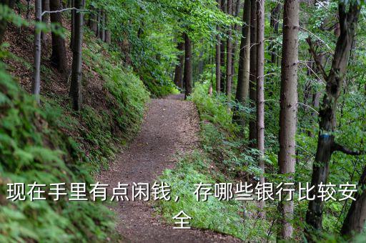現(xiàn)在手里有點(diǎn)閑錢，存哪些銀行比較安全