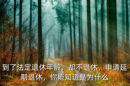 到了法定退休年齡，卻不退休，申請延期退休，你能知道是為什么