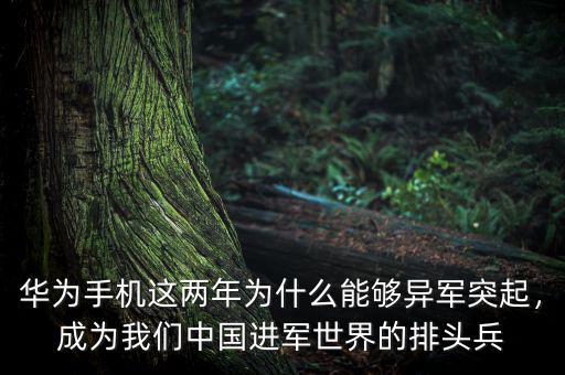 華為手機這兩年為什么能夠異軍突起，成為我們中國進軍世界的排頭兵